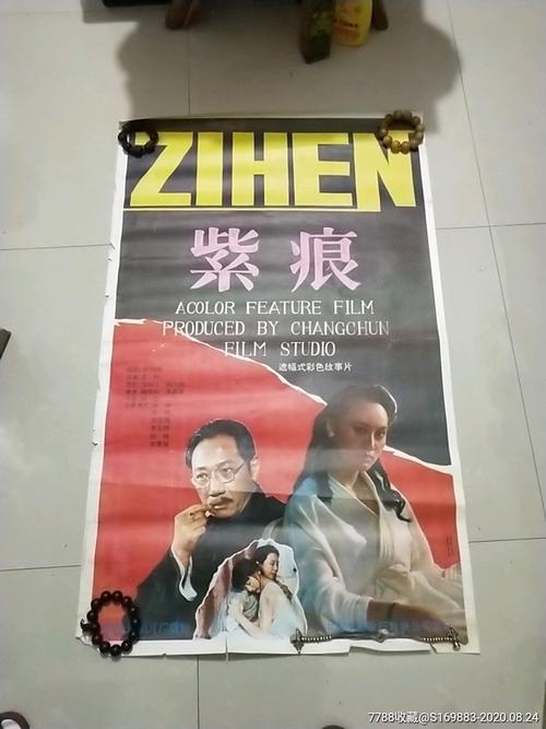 中专学历可以报考什么证书